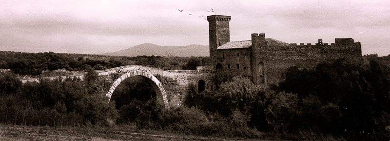 Vulci