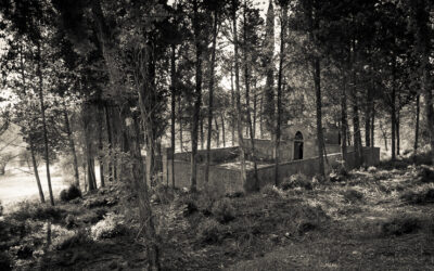 Abandoned cemetery in Chianti