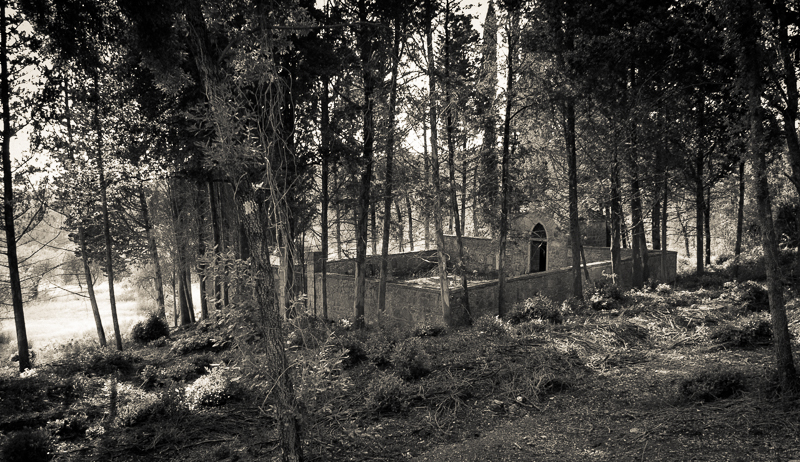 Abandoned cemetery in Chianti