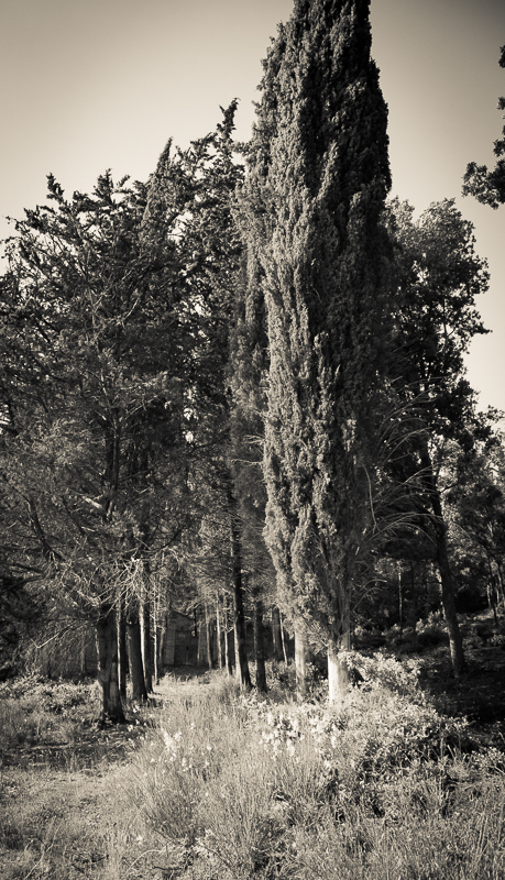 the cypress avenue cemetery.chianti_PatrickNicholas-1263