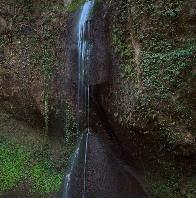 Poggio Conte – Part 1, The Sacred Glade