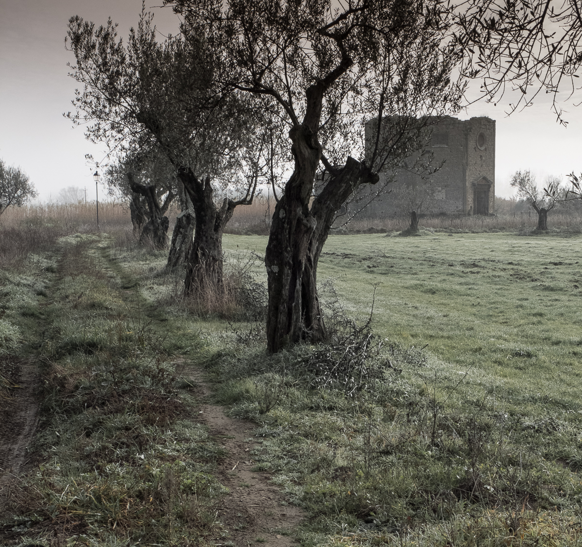 s.lorenzo-5026.PatrickNicholas